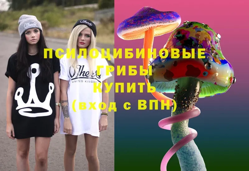 Галлюциногенные грибы MAGIC MUSHROOMS  наркота  Долинск 